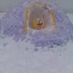 image (5)