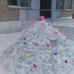 image (7)